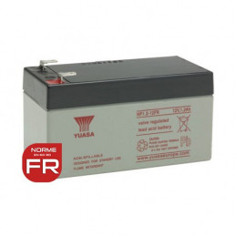Batteria YUASA 12V - 1.2Ah - NP1.2-12FR - AGM