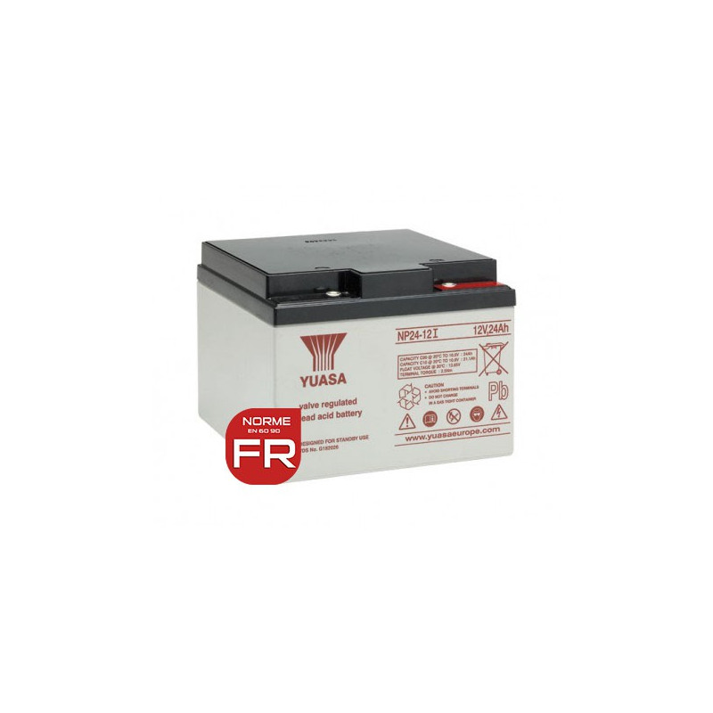 Batteria al piombo - YUASA 12V - 24.0Ah - NP24-12 I FR - AGM