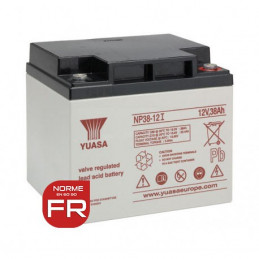 Batteria YUASA 12V - 38.0Ah - NP38-12 I FR - AGM