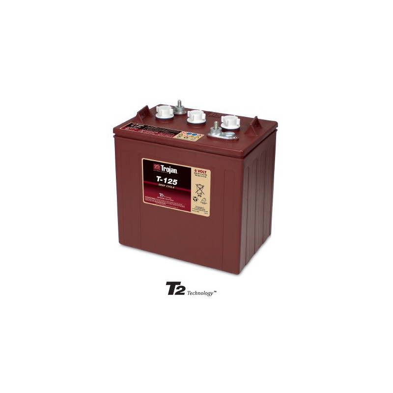 Batteria TROJAN 6V - 240Ah - T125 ex CR235 - DEEP CICLO ACIDO
