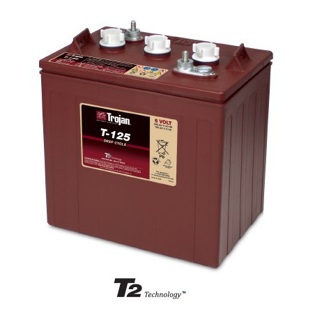 Batteria TROJAN 6V - 240Ah - T125 ex CR235 - DEEP CICLO ACIDO