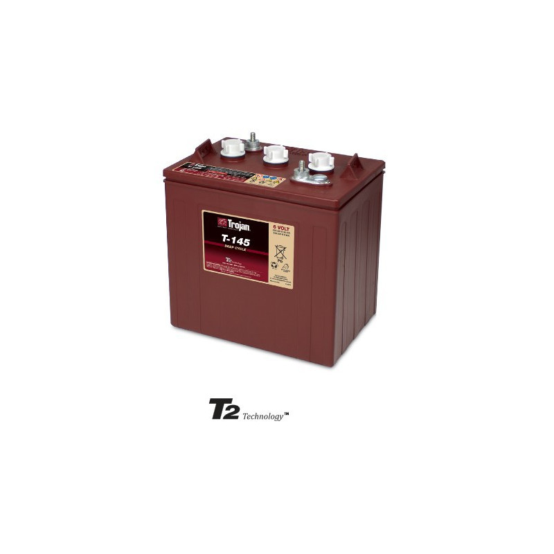 Batteria TROJAN 6V - 260Ah - T145 ex CR245 - DEEP CICLO ACIDO
