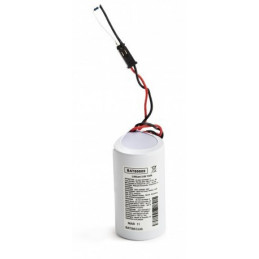 Pile Batterie Allarme Compatibile SENTINEL Pro litio - D - LSH20