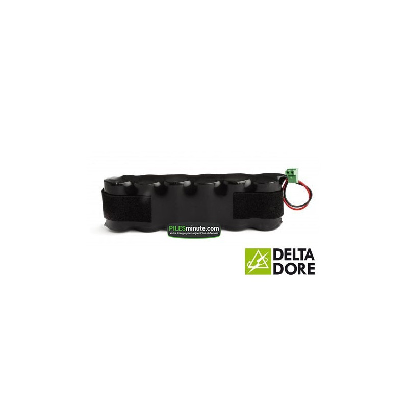 Pila Batteria Allarme Compatibile TALCO / DELTA DORE - 6LR20 Alcaline
