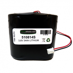 Pacco batterie Litio SAFT LS33600 - 2S1P - 7.2V - 17Ah + Connettore