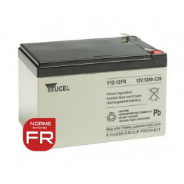 Batteria YUASA / YUCEL 12V - 12.0Ah - Y12-12FR - AGM
