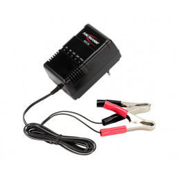 ANSMANN Caricatore al Piombo  - Tensione regolabile 2V/6V/12V/24V Pinz