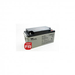Batteria YUASA / YUCEL 12V - 65.0Ah - Y65-12FR - AGM