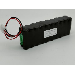 Pacco NiMh AA - 20S1P - 24.0V 1.7Ah + Connettore
