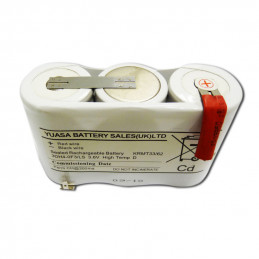Pacco Batterie NiMh – 12.0V – 0.7Ah – Allarme Incendio Neutronic