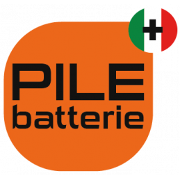 Pacco Litio Fdk CR17450 - BR-A - 1S2P - 3V 5,0Ah - T1 + connettore
